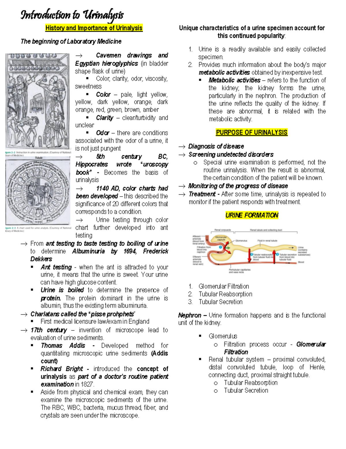 L1 History and Importance of Urinalysis History and Importance of