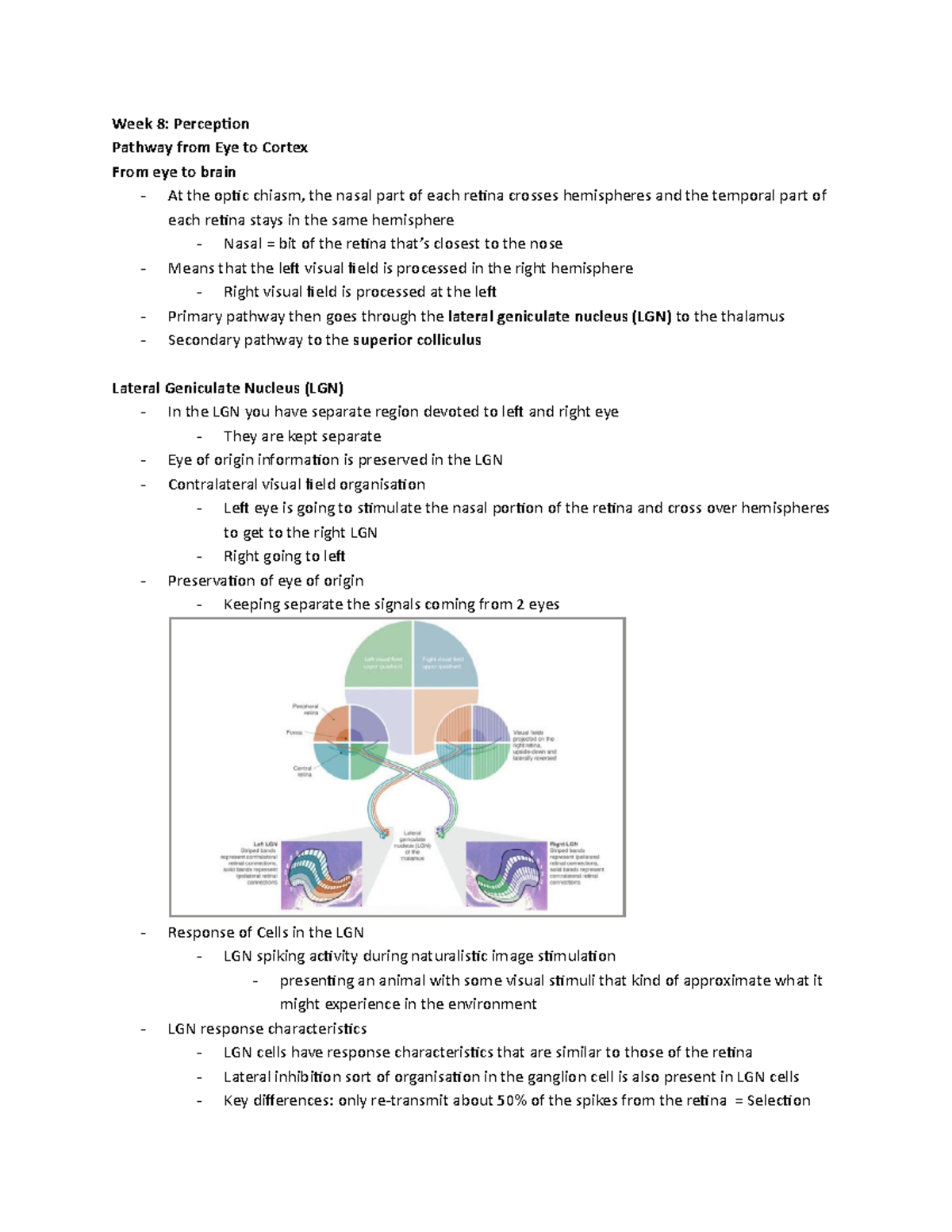 Week 8 Perception - Lecture Notes - Week 8: Perception Pathway From Eye ...