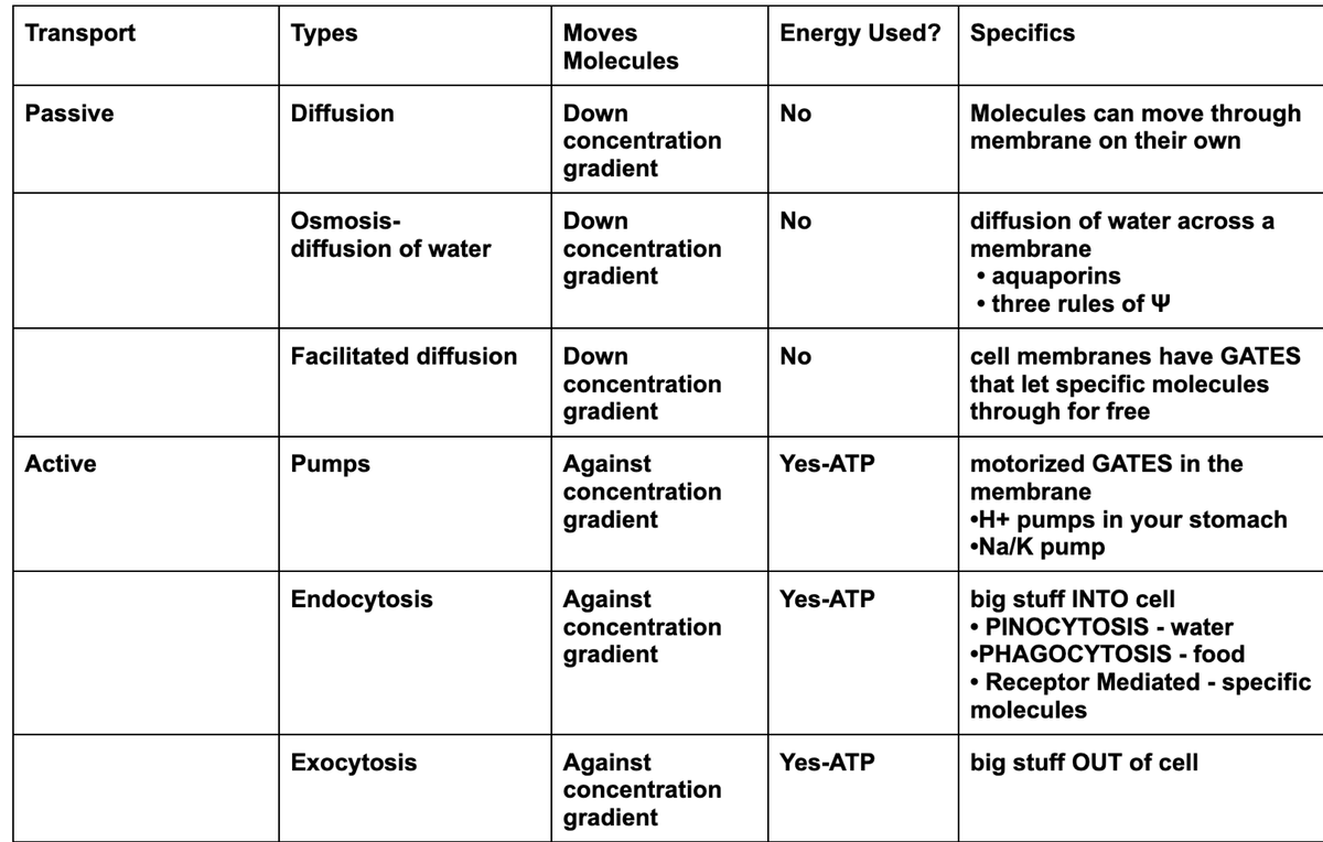 Cell transport table master quiz: review - Transport Types Moves Energy ...