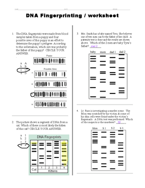 Dna fingerprinting worksheet - NAME DATE PERIOD DNA Fingerprinting / worksheet The DNA fingerprints - Studocu dna-fingerprinting-worksheet-name-date-period-dna-fingerprinting-worksheet-the-dna-fingerprints-studocu