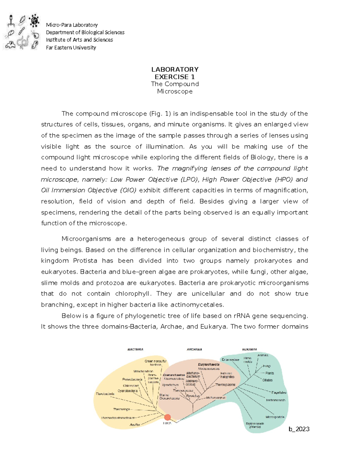 Micropara LAB-1 2023 Group 6 - Micro-Para Laboratory Department of ...