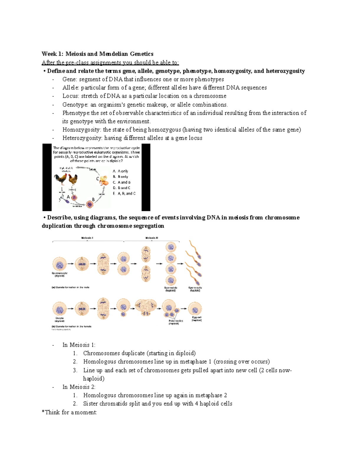 LS7B Midterm 1 - Week 1: Meiosis And Mendelian Genetics After The Pre ...