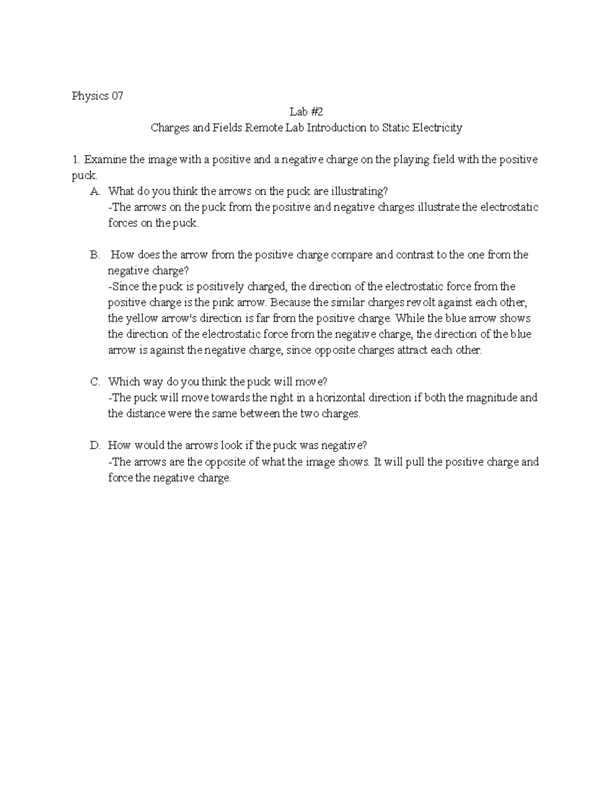Physics 7 Lab 2 Charges and Fields Remote Lab Introduction to Static