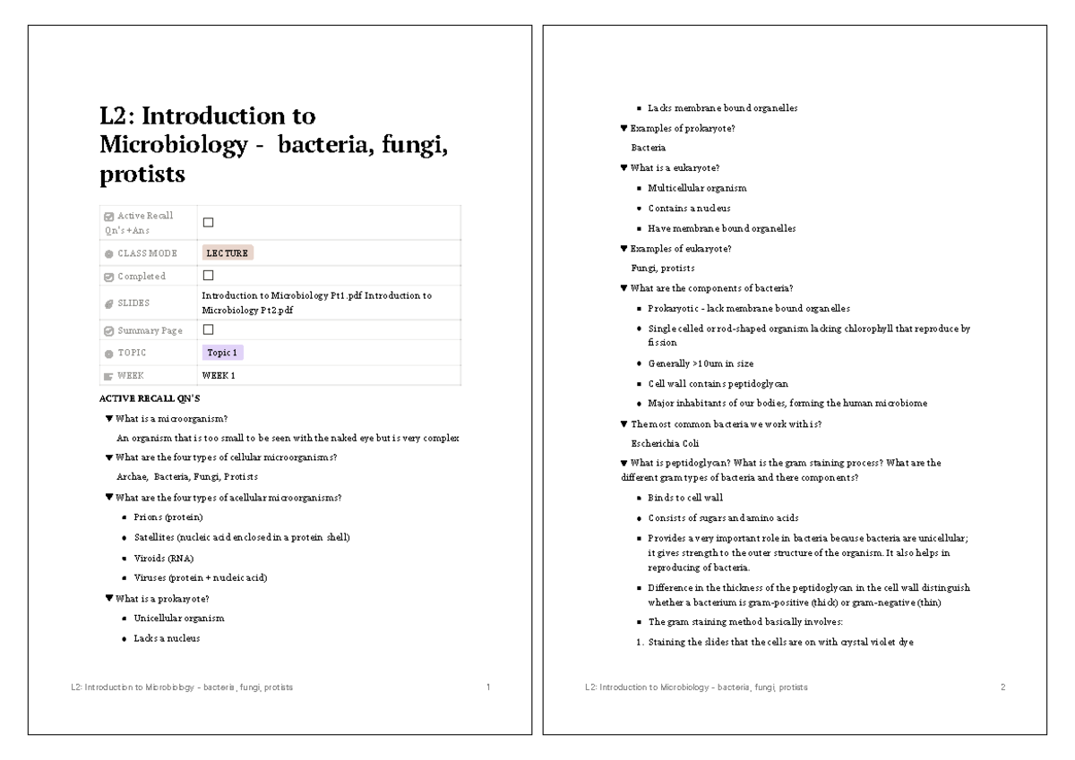 L2 Introduction to Microbiology - bacteria fungi protists - L2 ...