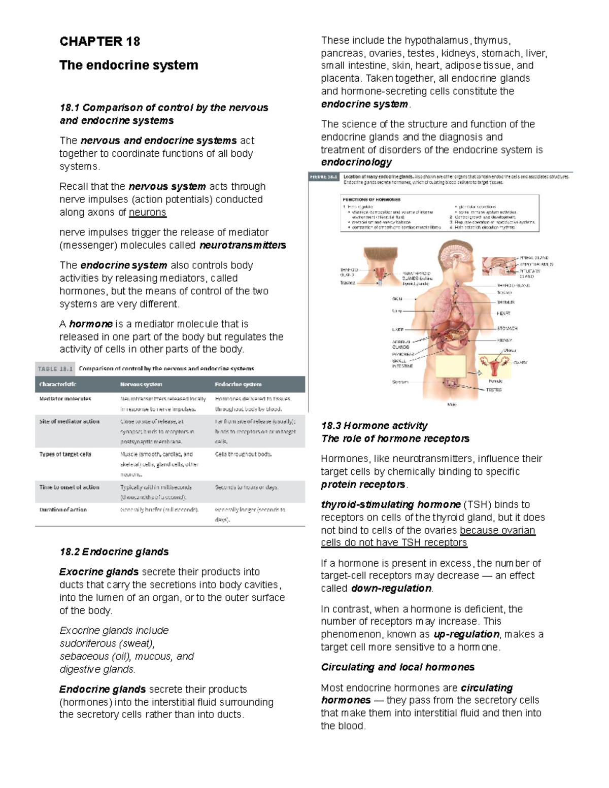 Chap 18 (Endocrine System) - CHAPTER 18 The endocrine system 18 ...