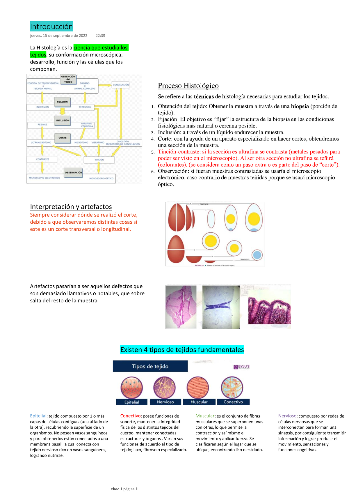 Histología Enfermería - La HistologÌa Es La Ciencia Que Estudia Los ...