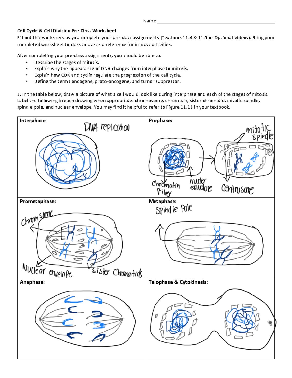 Week 10b Cell Cycle and Cell Division Reading Guide - Name - Studocu