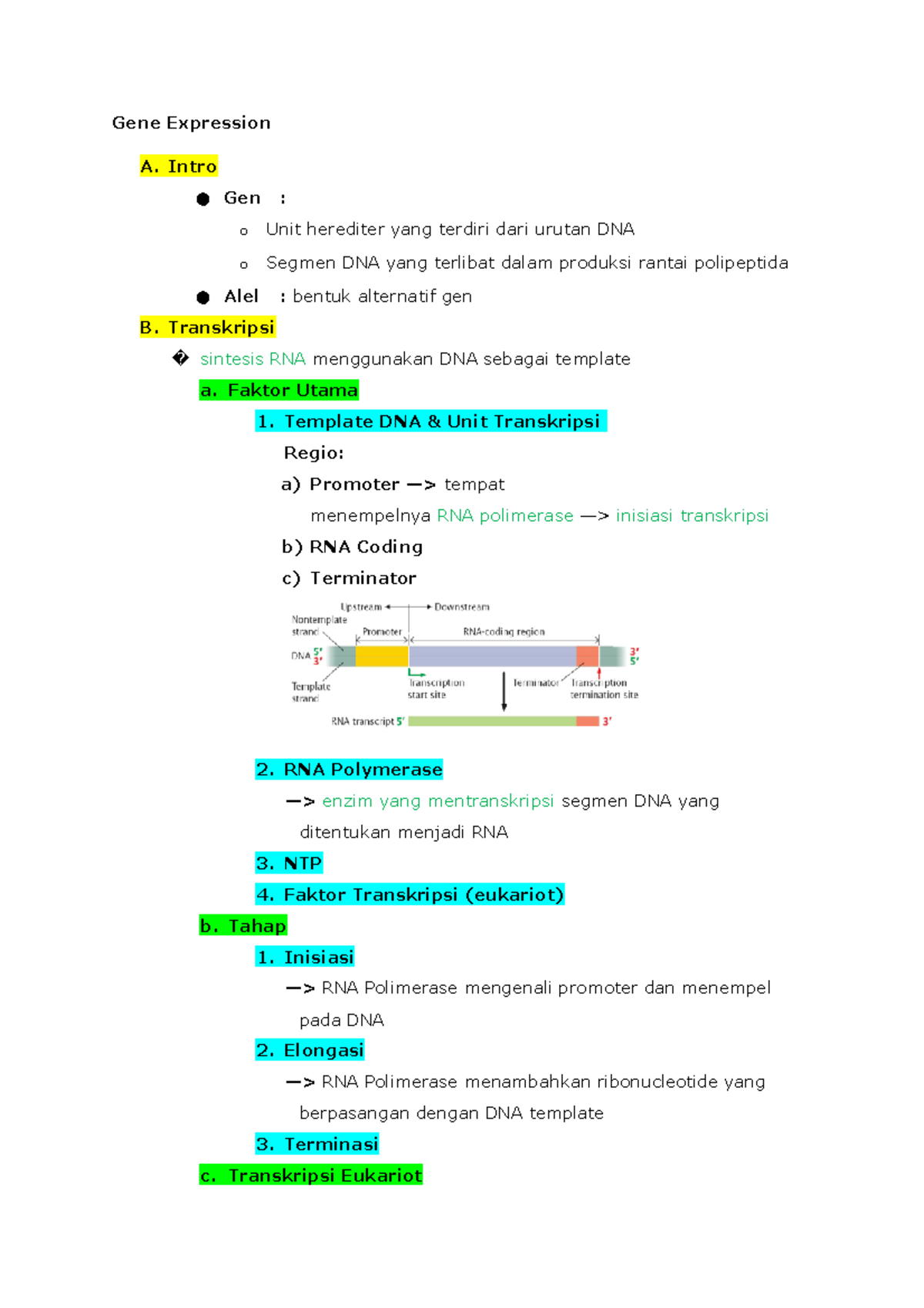 Gene Expression notes Catatan untuk Semester I Blok Cell Gene