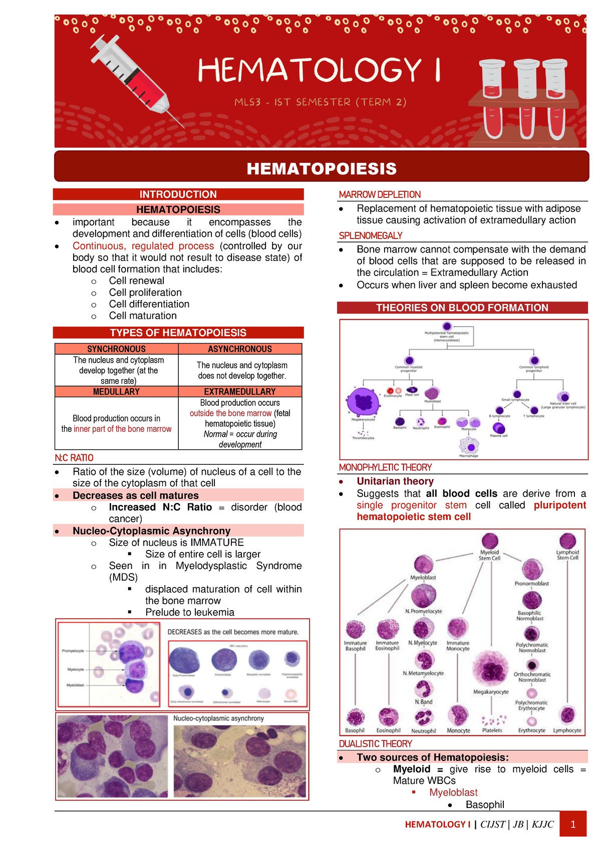 Hematology I Notes - 3 Hematopoiesis - INTRODUCTION HEMATOPOIESIS ...