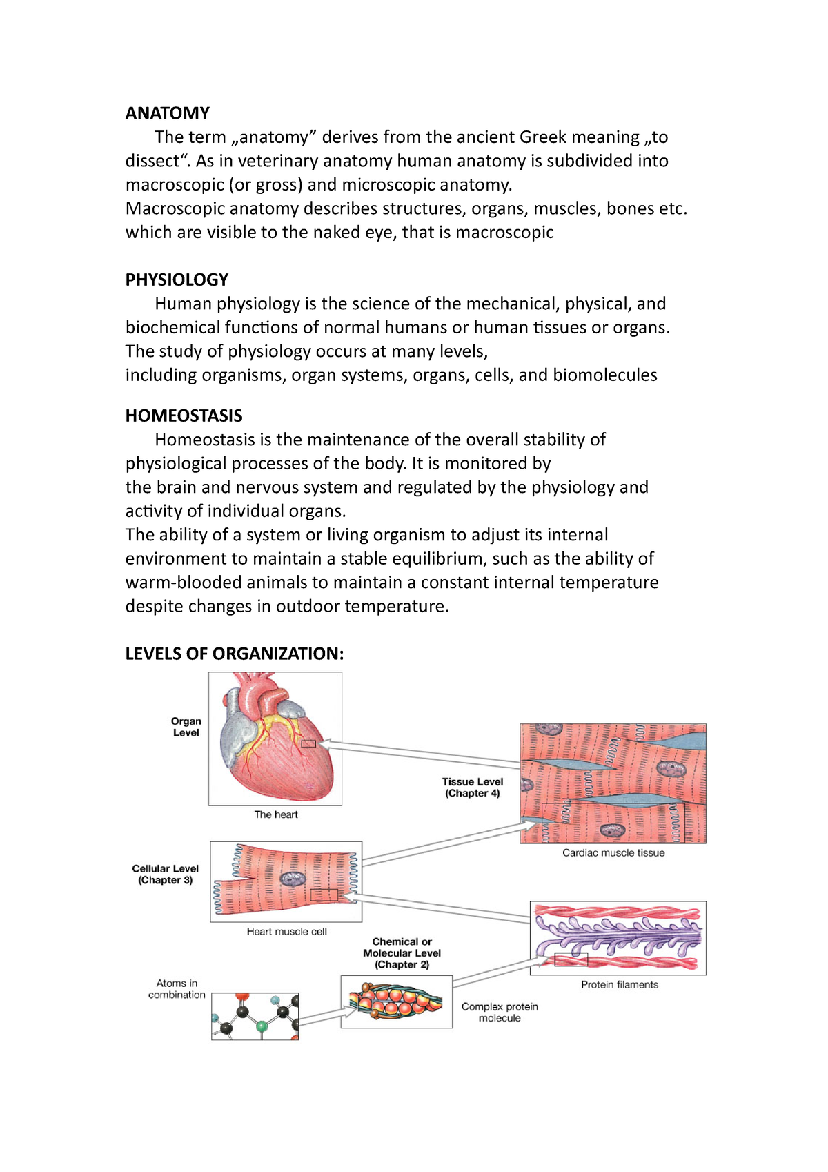 Reviewer Anaphy BSN 1 - ANATOMY The Term „anatomy” Derives From The ...