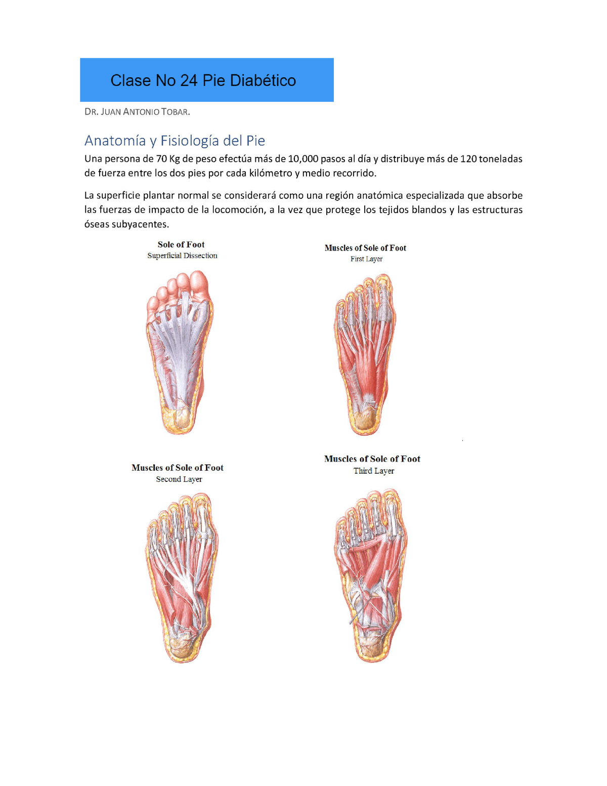 Clase 35 Pie Diabético - Clase 32 Pie Diabético DR. JUAN ANTONIO TOBAR ...