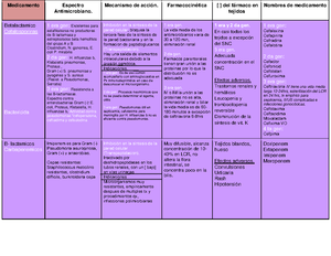 Formato Metas Estrategias Y Lineas De Accion Objetivos Metas Estrategias Y L Neas De