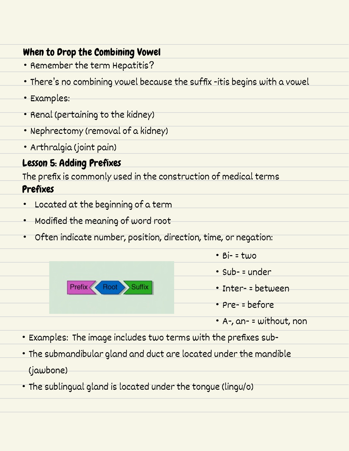 medical-terminology-9-adding-prefixes-when-to-drop-the-combining