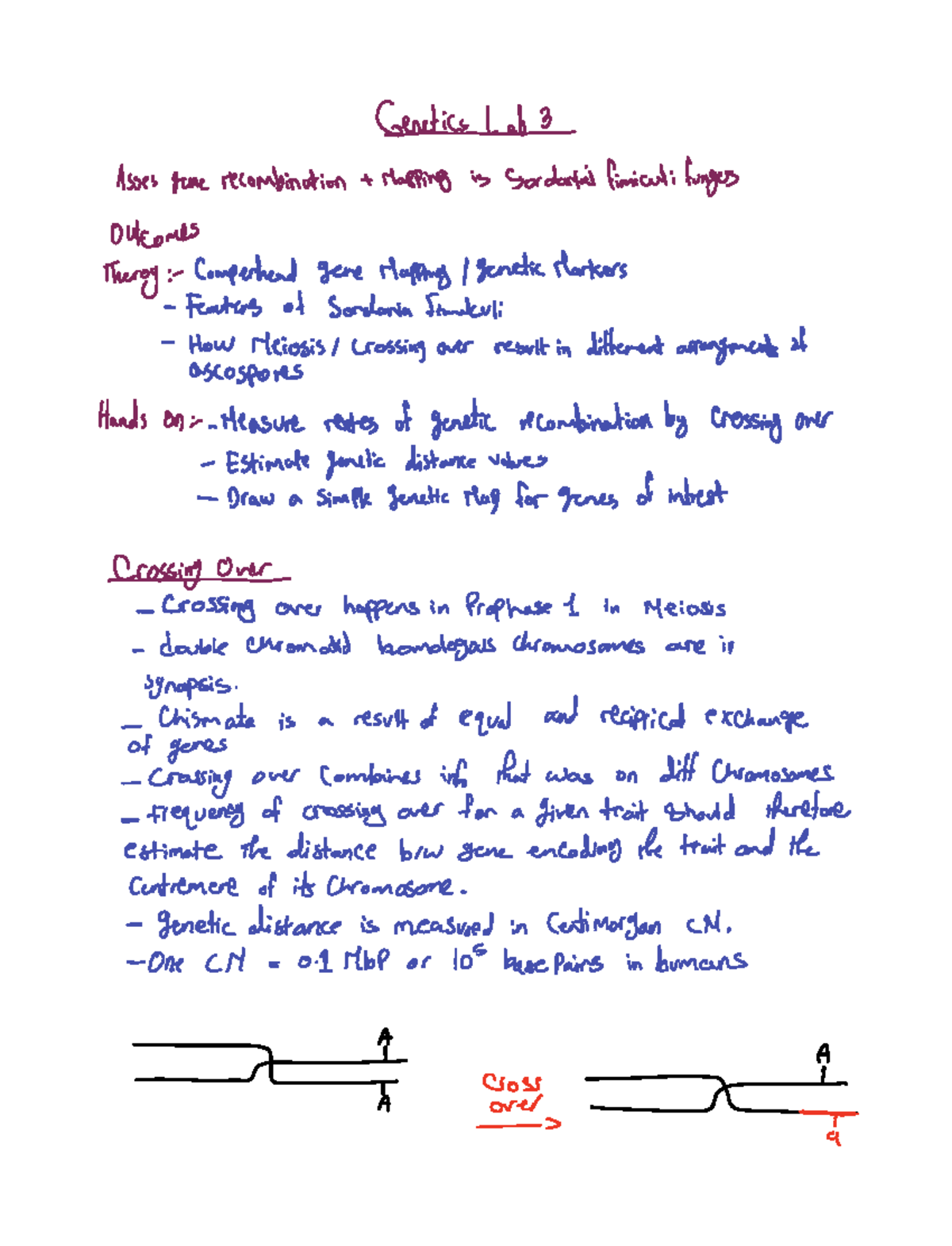 Notability Notes 5 - Lab - BIO2133 - Studocu