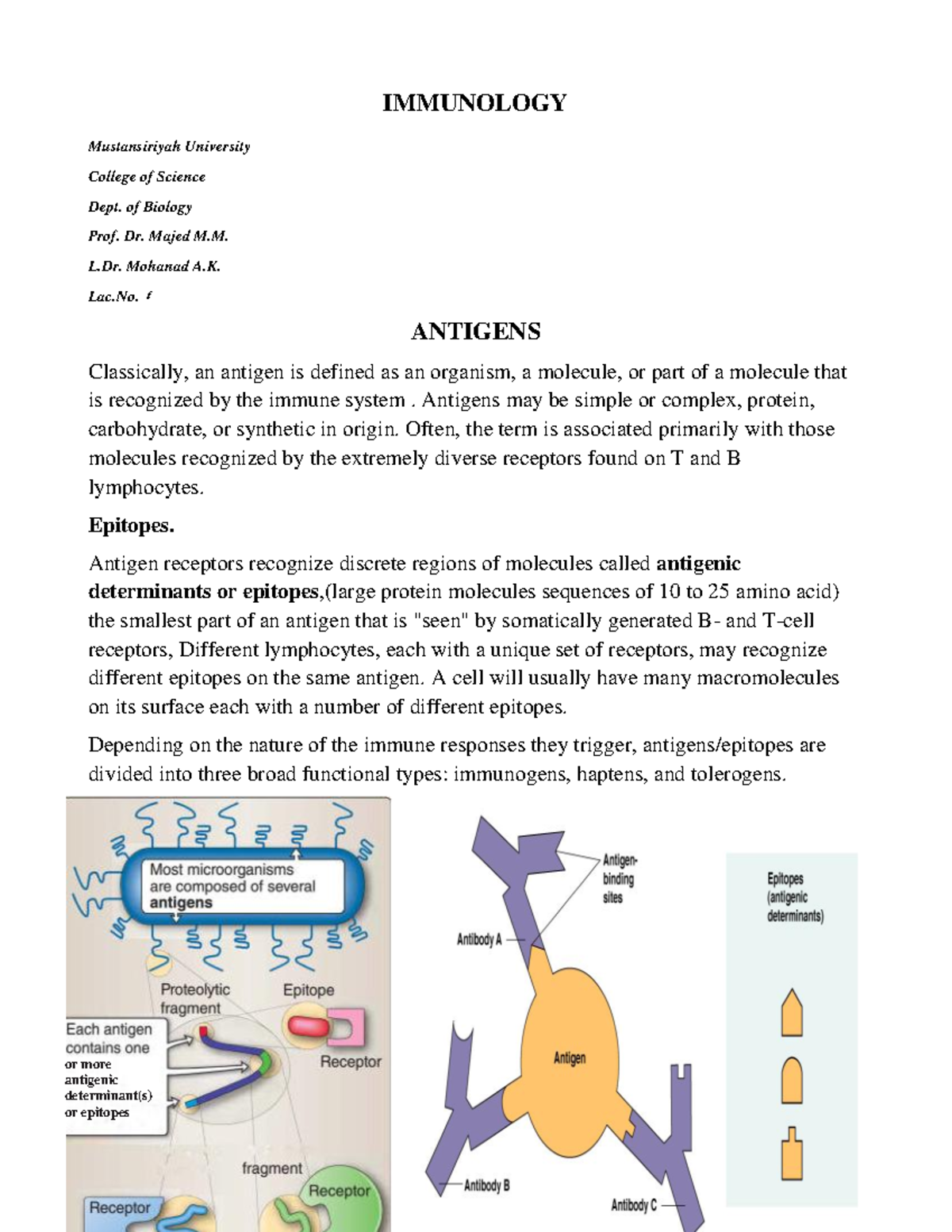 Antigens IMMUNOLOGY Mustansiriyah University College of Science Dept