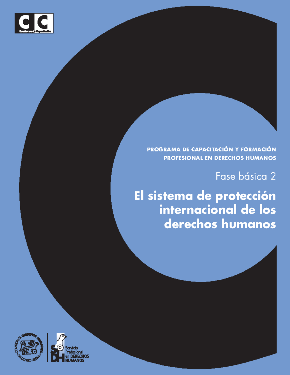 El Sistema de Proteccion Internacional de los Derechos Humanos ...