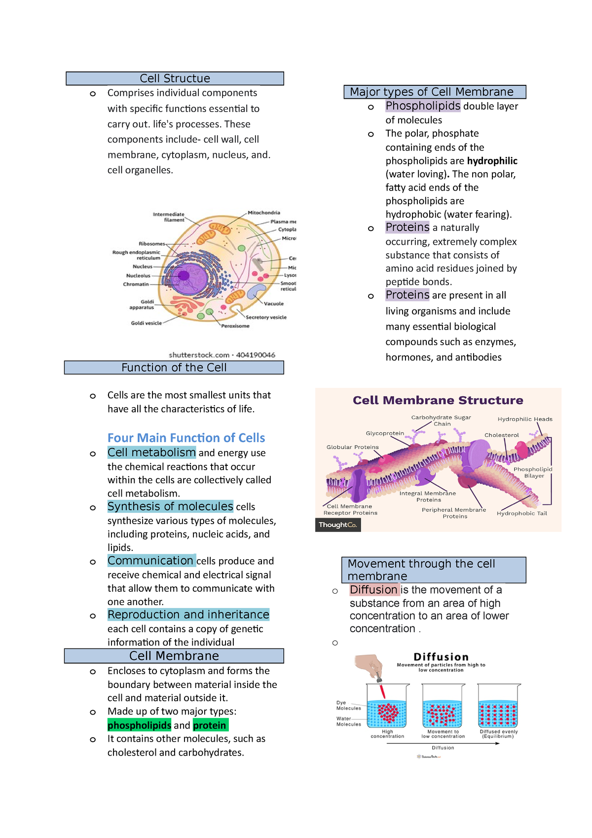 Anaphy-chapter-3 - anaphy - Cell Structue o Comprises individual ...