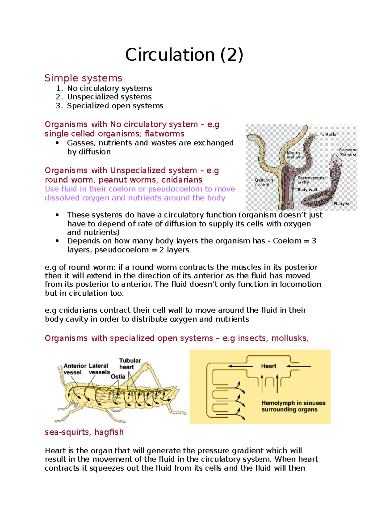 Circulation simple systems, organisms with no circulation and organisms ...