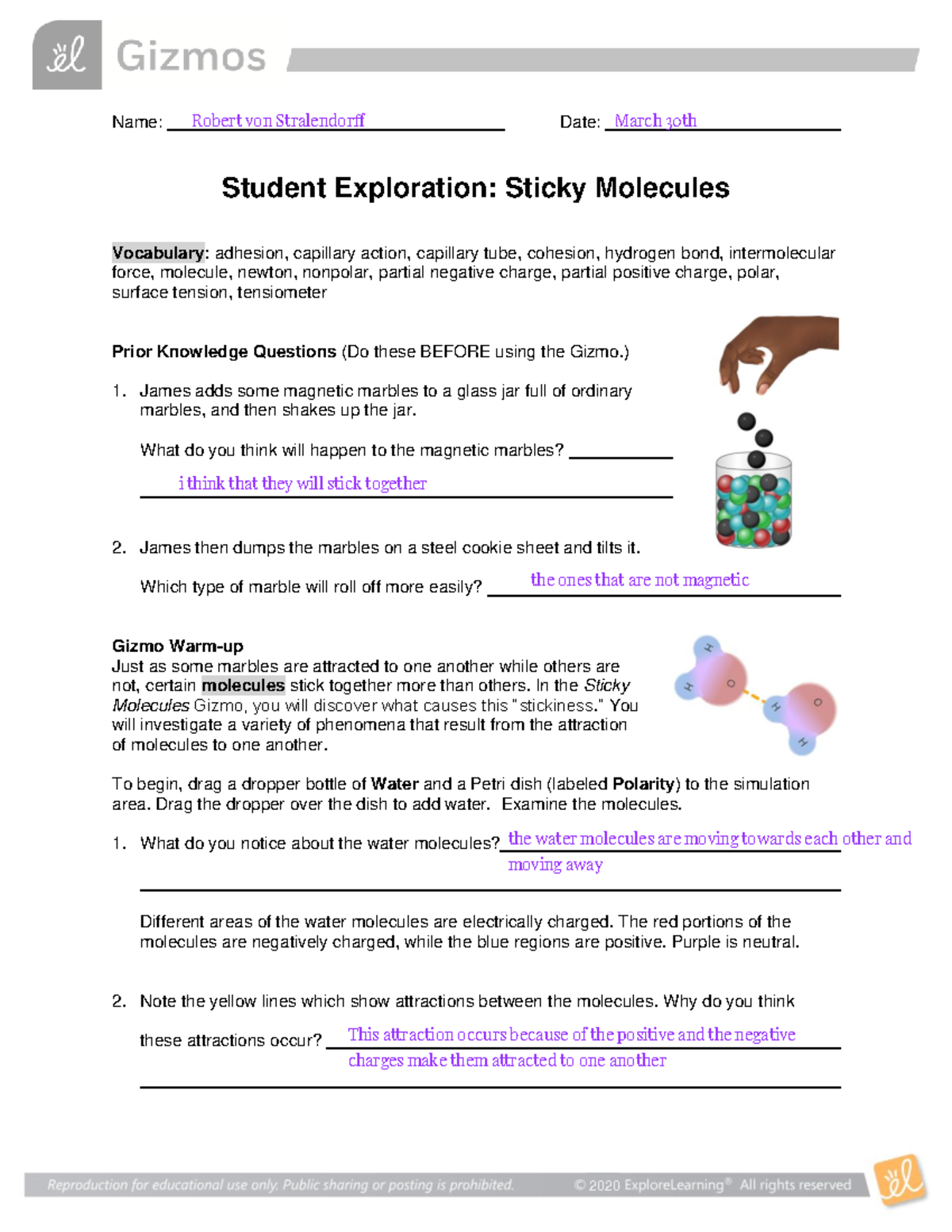 Sticky Molecules SE - Name: Date: Student Exploration: Sticky Molecules ...