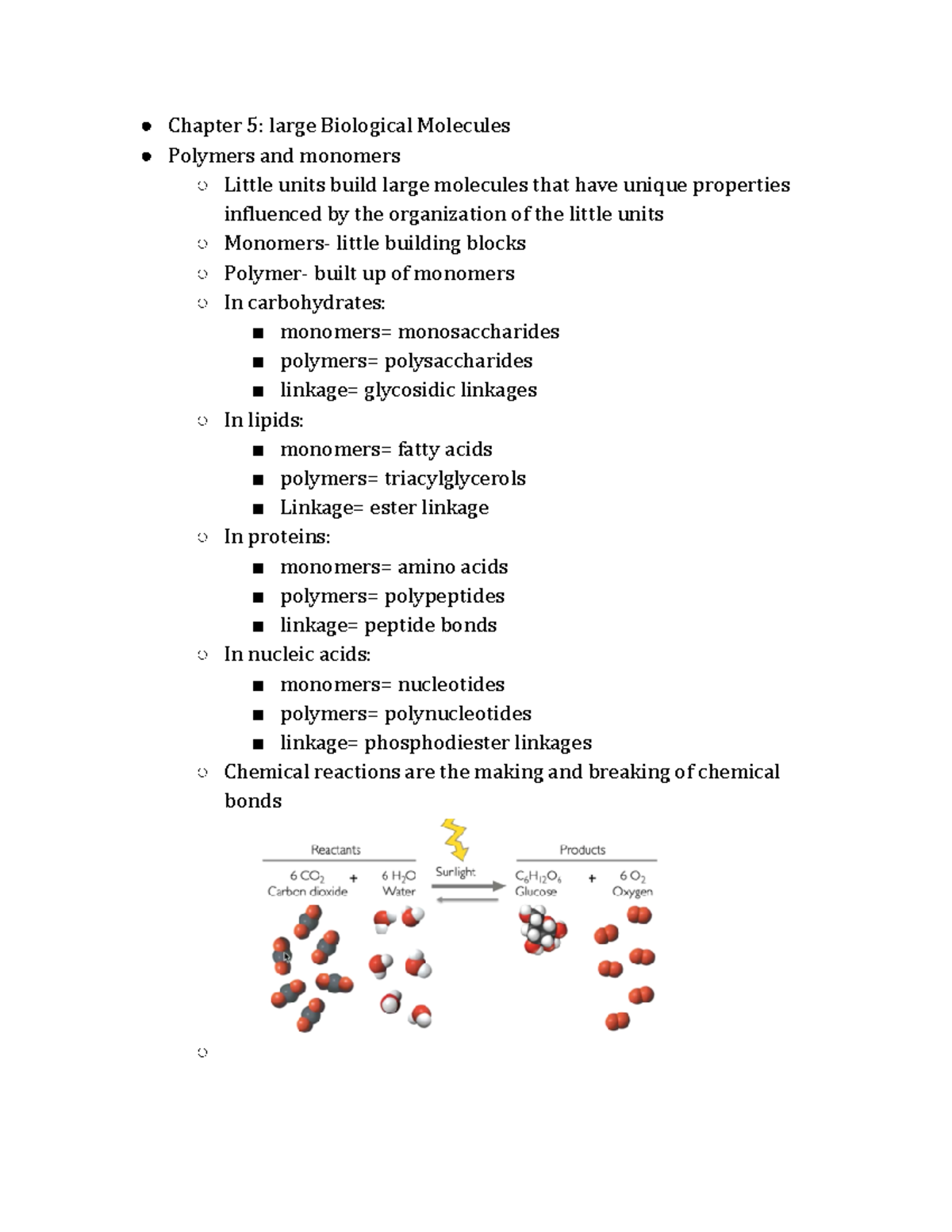 Chapter 5 Bio - Chapter 5: large Biological Molecules Polymers and ...