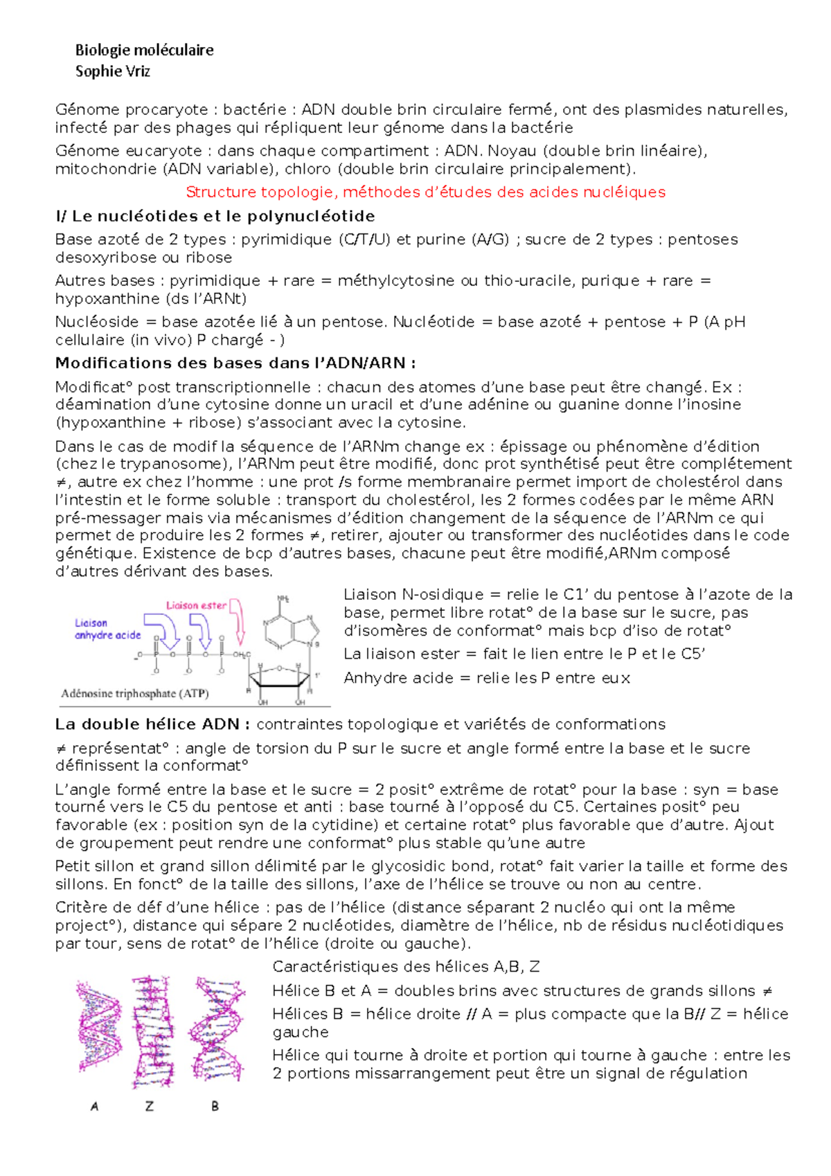 Fiche De Revision Biologie Fiche des cours de 1 à 5 de Biologie Moléculaire (cours de S. Vriz