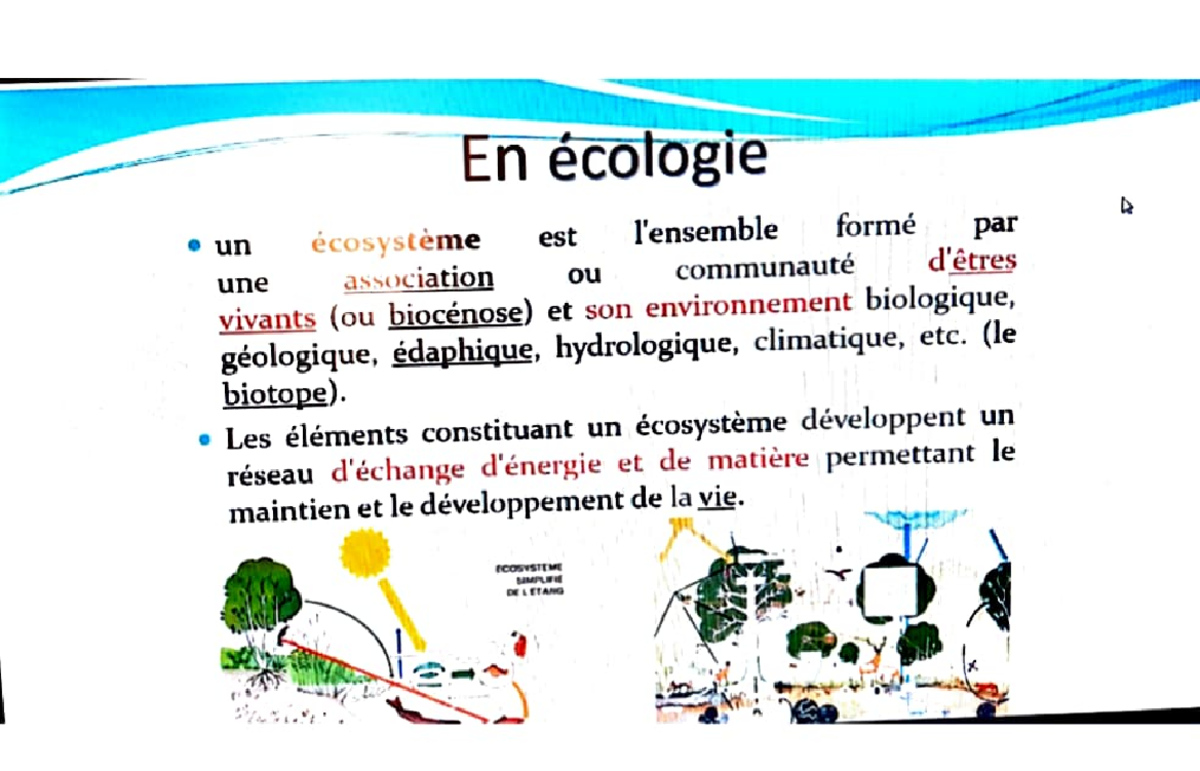 Écologie - Séance 1 - Ecology - Studocu