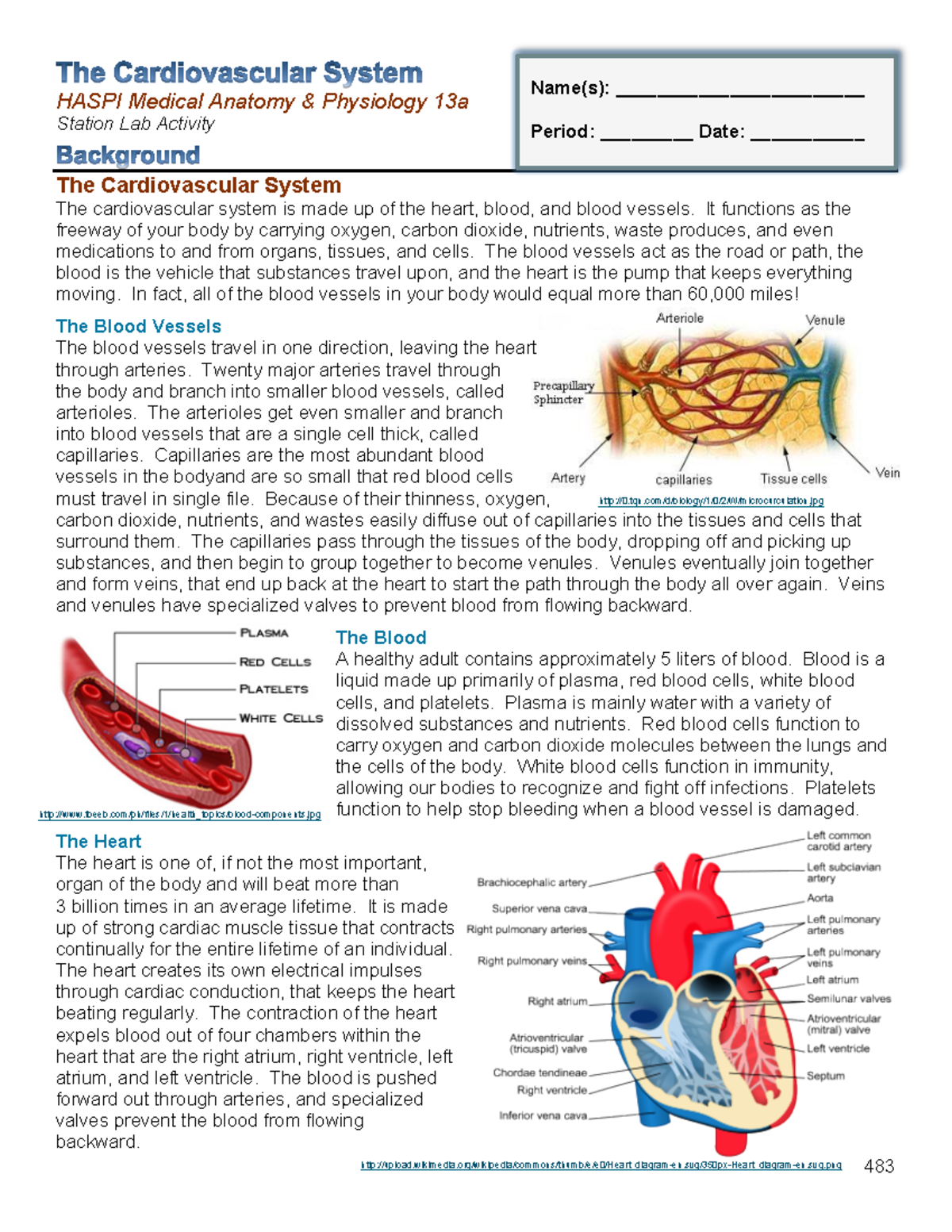 13a The Cardiovascular System - HASPI Medical Anatomy & Physiology 13a ...