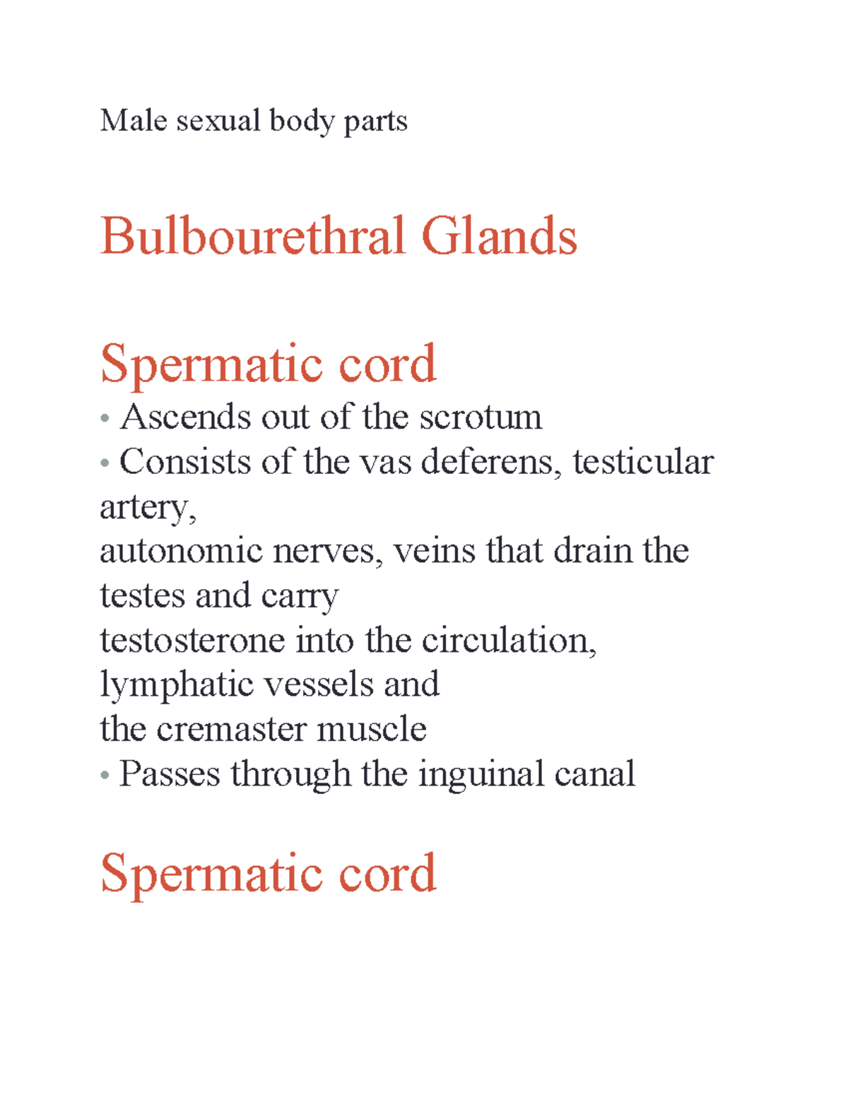 Male Sex Parts 21 Male Sexual Body Parts Bulbourethral Glands Spermatic Cord Ascends Out Of 2329