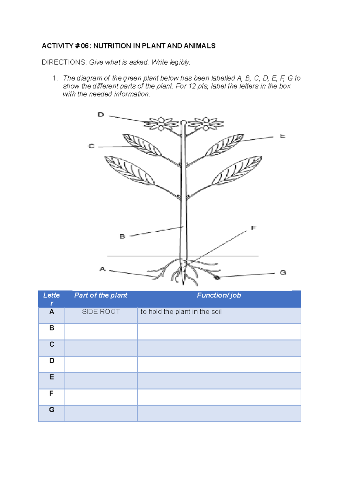 plant-and-animal-nutrition-activity-activity-06-nutrition-in-plant