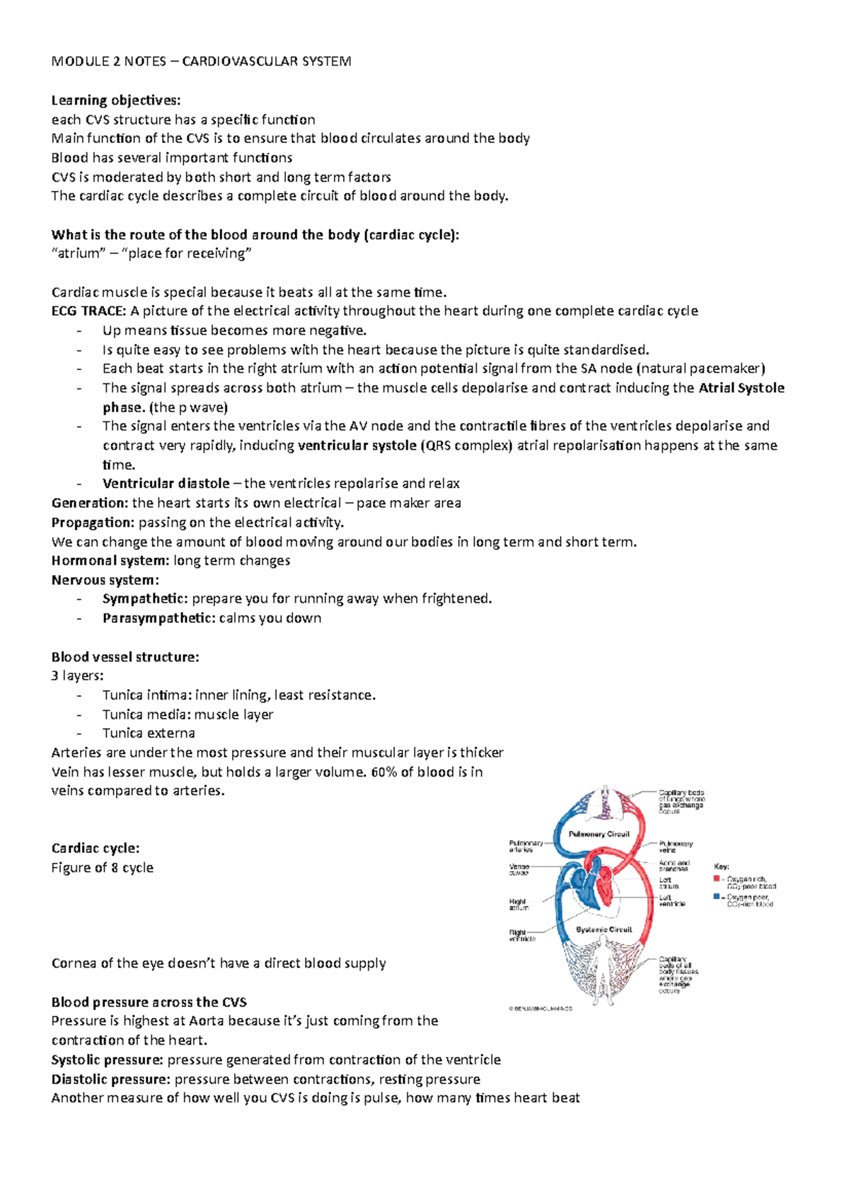 Module 2 Cardiovascular system - MODULE 2 NOTES – CARDIOVASCULAR SYSTEM ...