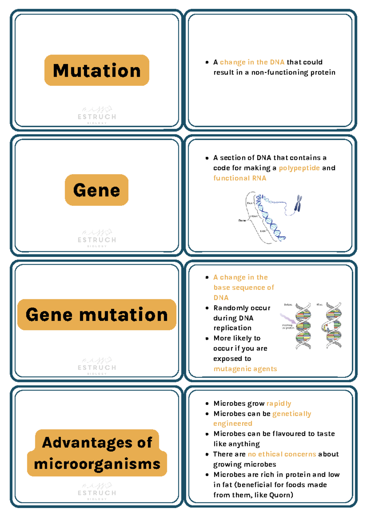 2025 Module 6 Genetics, evolution and ecosystems 2 - Mutation A change ...