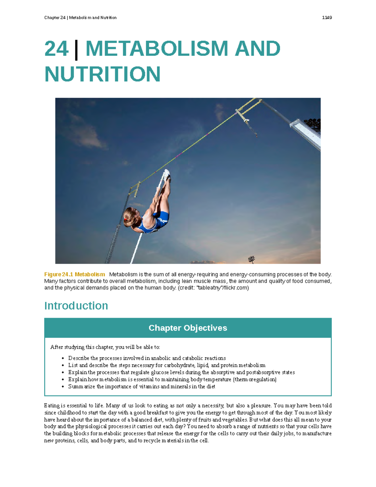 Chapter 24 - Text - 24 | METABOLISM AND NUTRITION Figure 24 Metabolism Metabolism Is The Sum Of ...