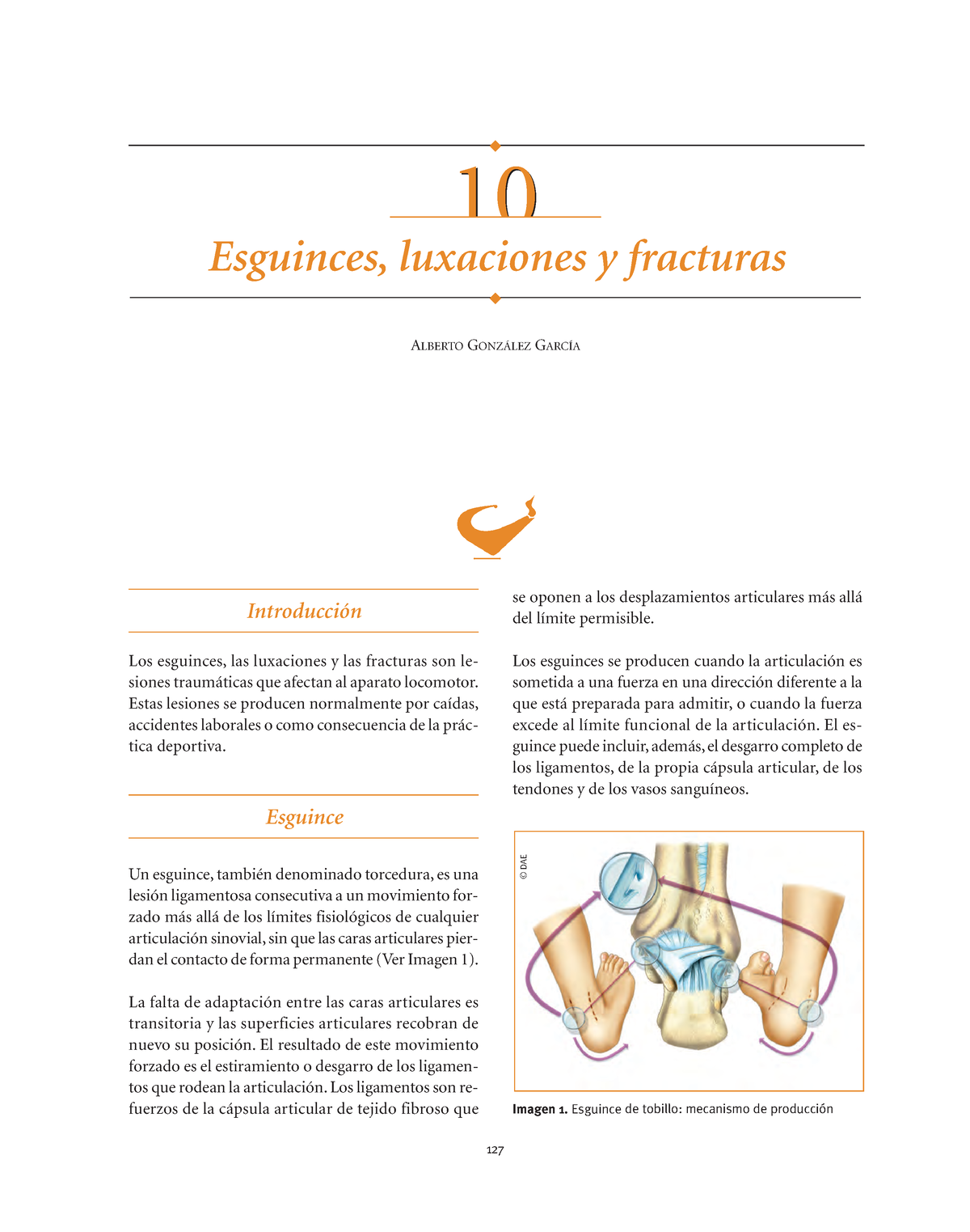 Esguinces, Luxaciones Y Fracturas - Introducción Los Esguinces, Las ...