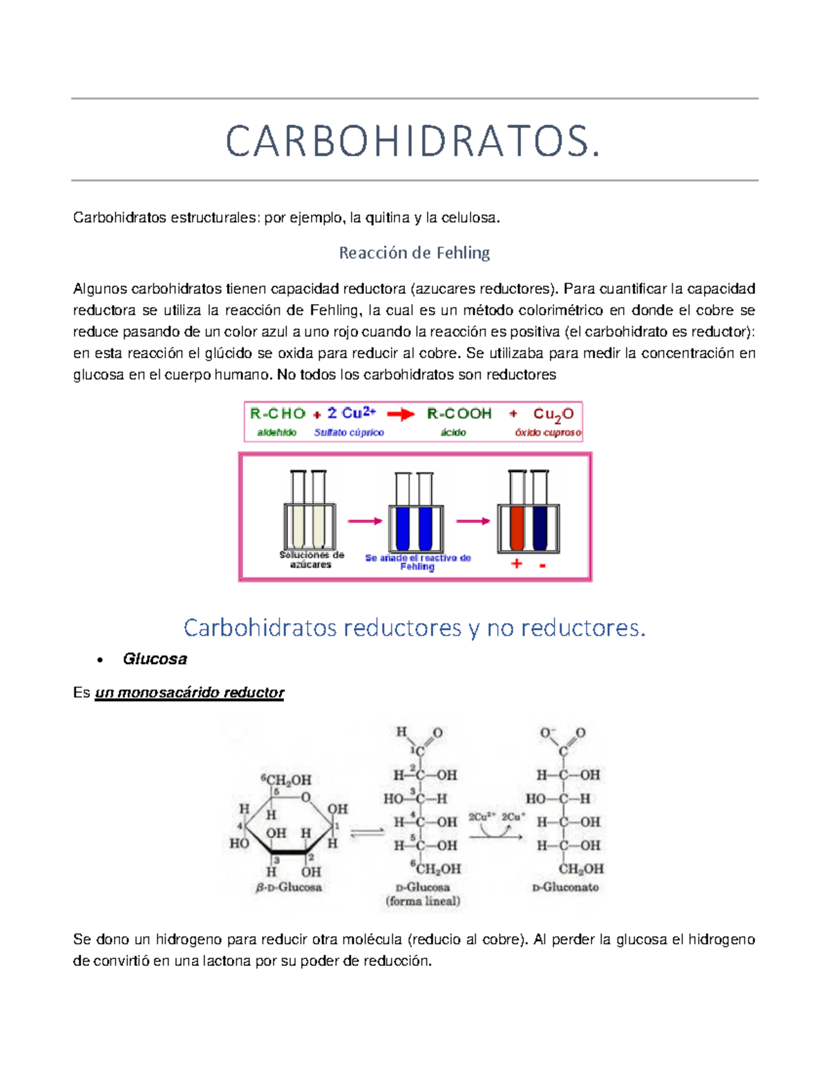 Carbohidratos apunte - CARBOHIDRATOS. Carbohidratos estructurales: por ...