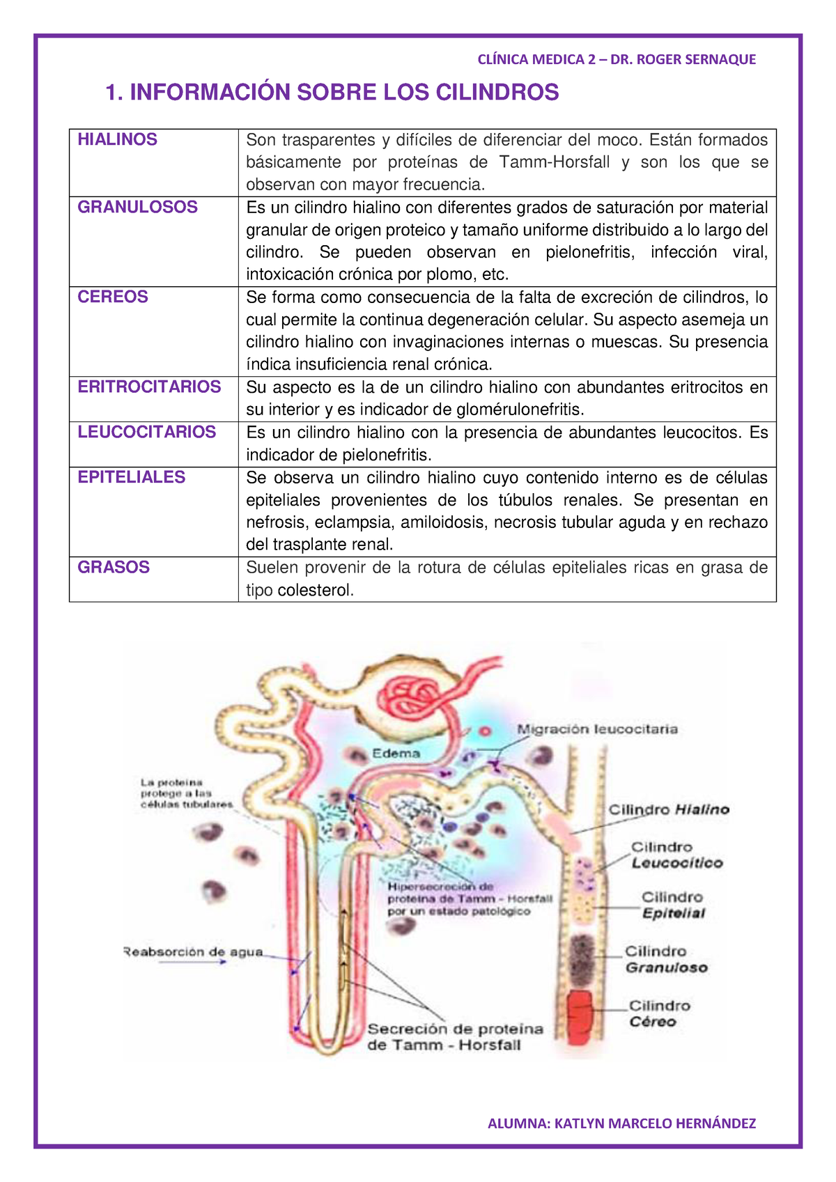 Clinica Medica Resumen Informaci N Sobre Los Cilindros Hialinos Son Trasparentes Y