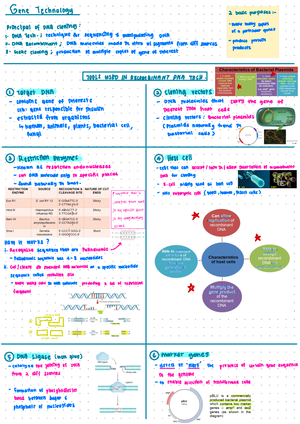 Chp 3 (homeostasis) notes - ④hp 3 : ltstomeo stasis Physiological ...