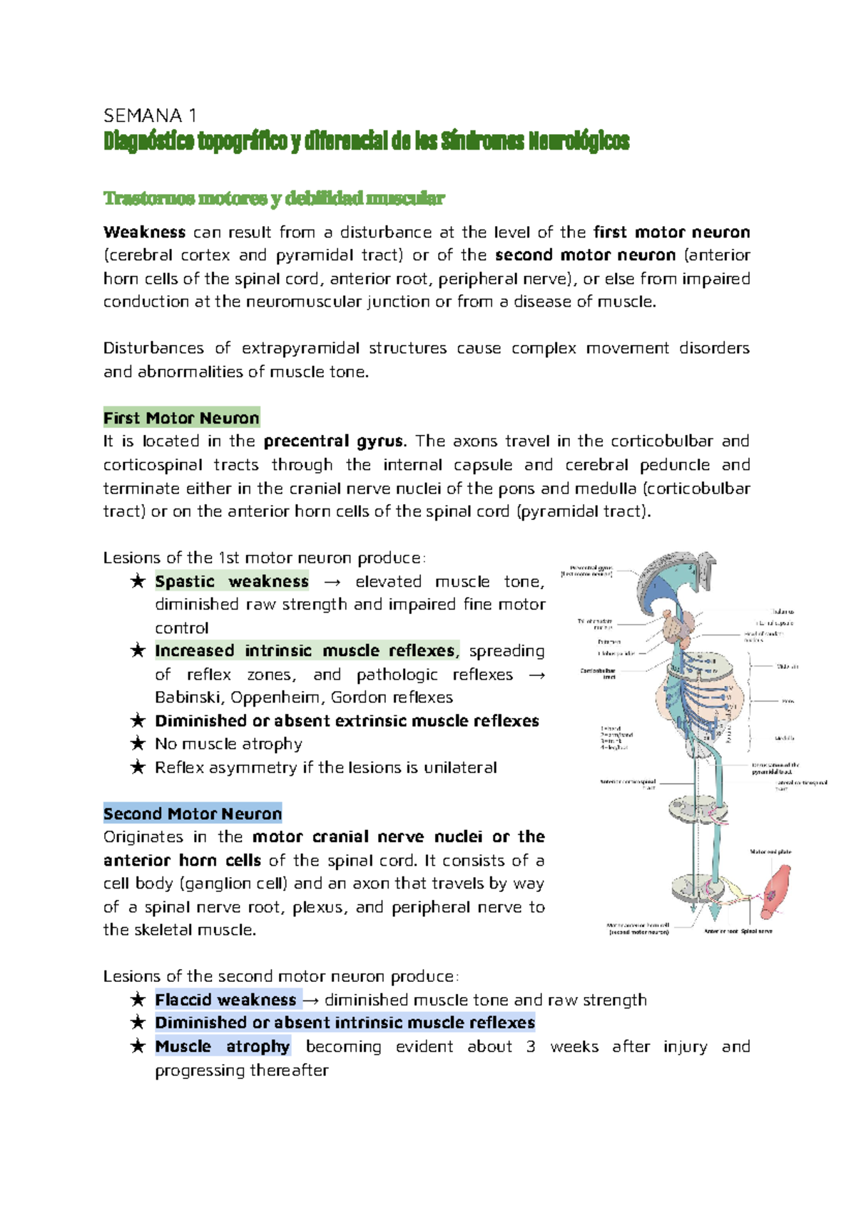 Fisiopatología del Sistema Nervioso - SEMANA 1 Diagnóstico topográfico ...