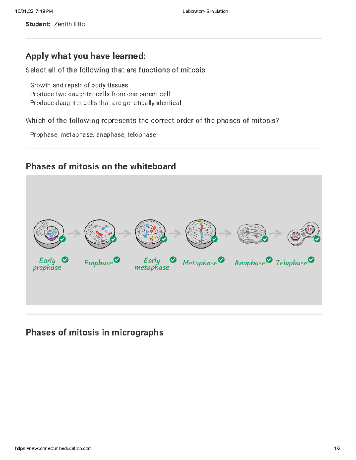 Cell Division Examining Mitosis 749 PM Laboratory Simulation