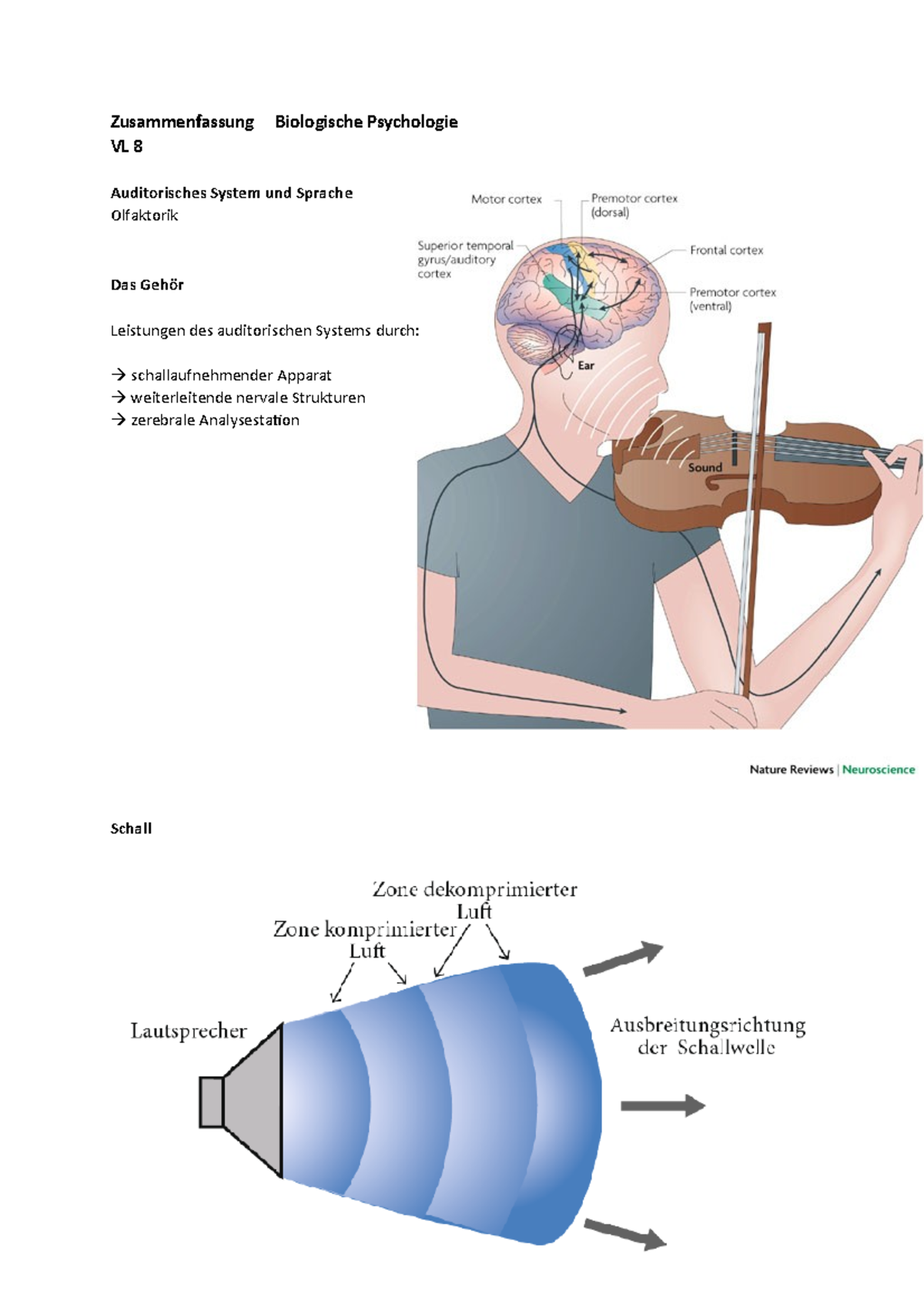 Vorlesung 8 Biologische Psychologie - Zusammenfassung Biologische ...