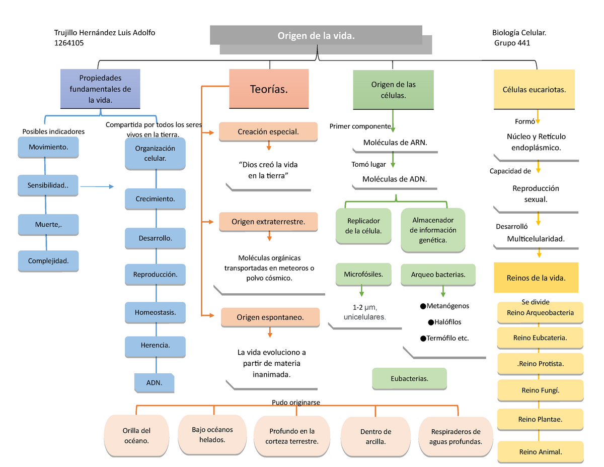 Mapa Conceptual Del Origen De La Vida