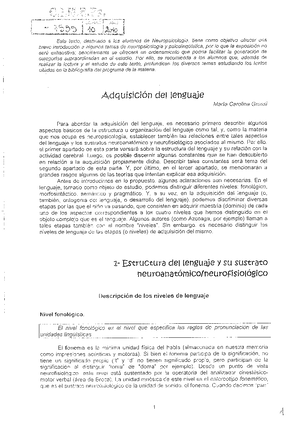 Introzzi Cap 1.pdf - Neurociencias Del Aprendizaje - Studocu