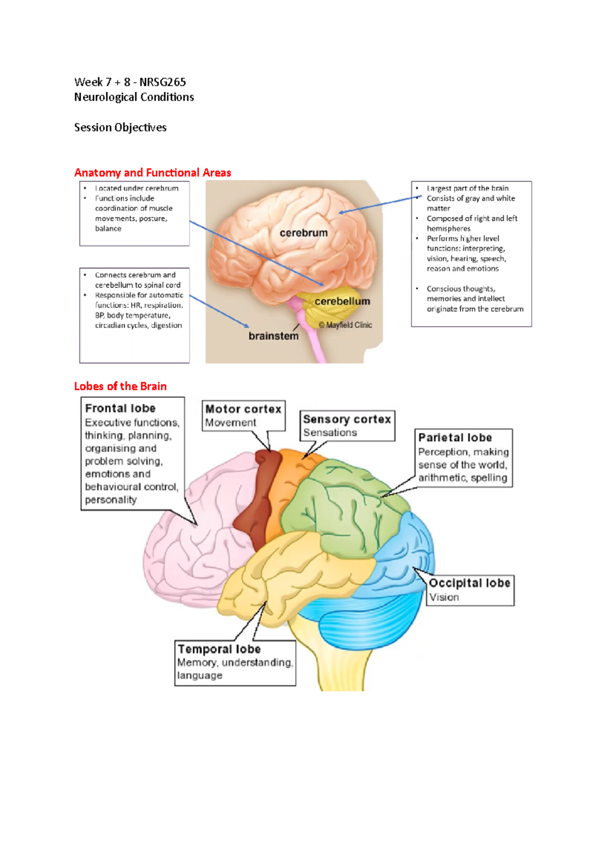 Week 7 - Care of the patient with a neurological condition - Week 7 + 8 ...