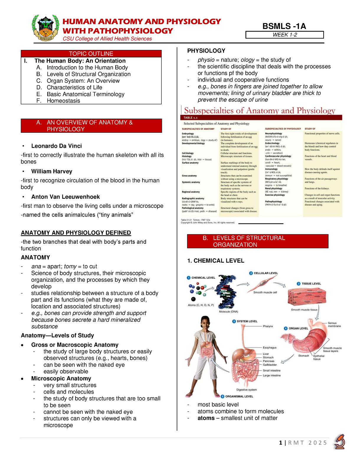 UNIT 1.1 ( Intro TO THE Human BODY) - WITH PATHOPHYSIOLOGY WEEK 1 - 2 ...