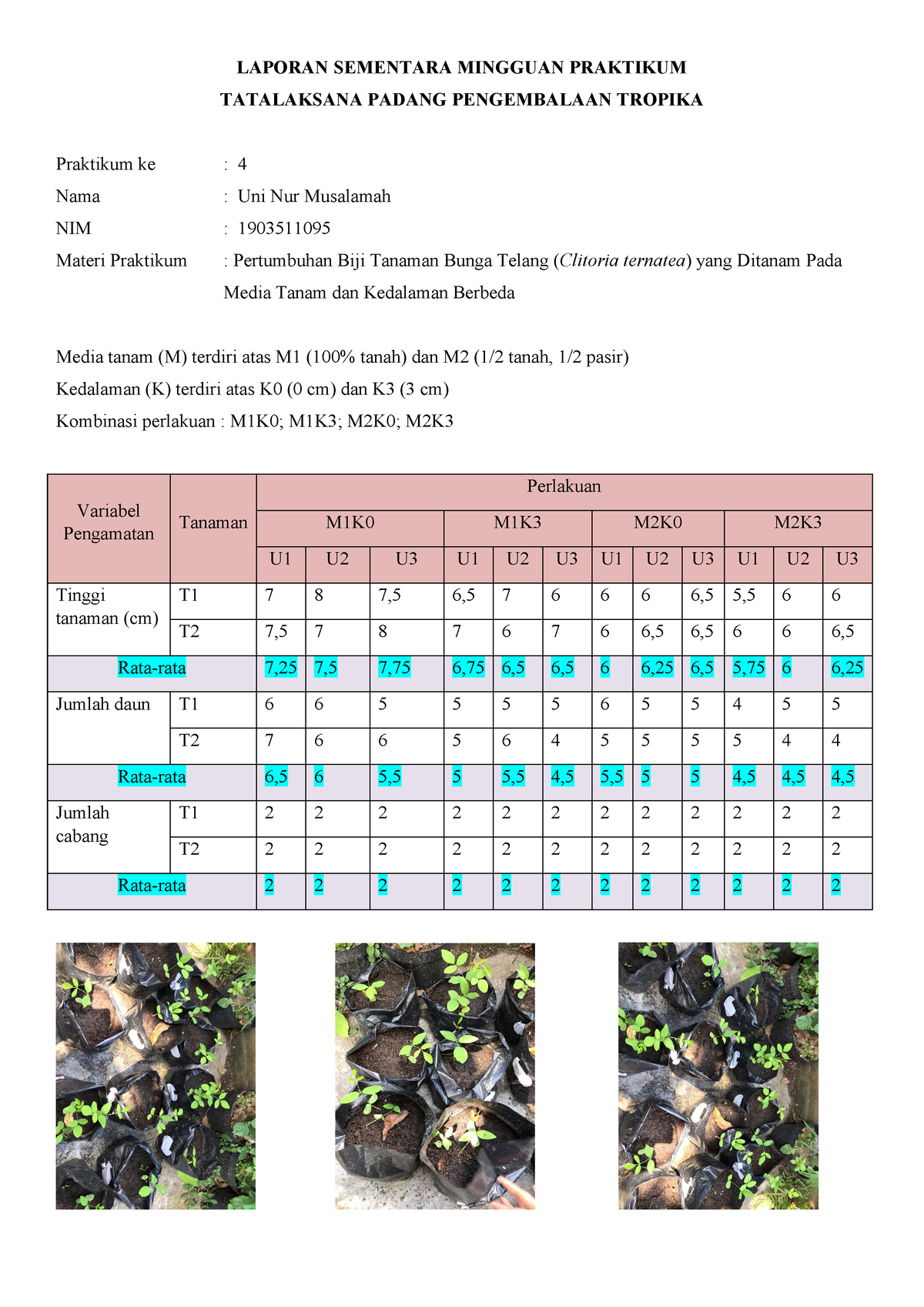 1903511095 Uni Nur Musalamah Kelas B Laporan Praktikum Sementara Minggu ...