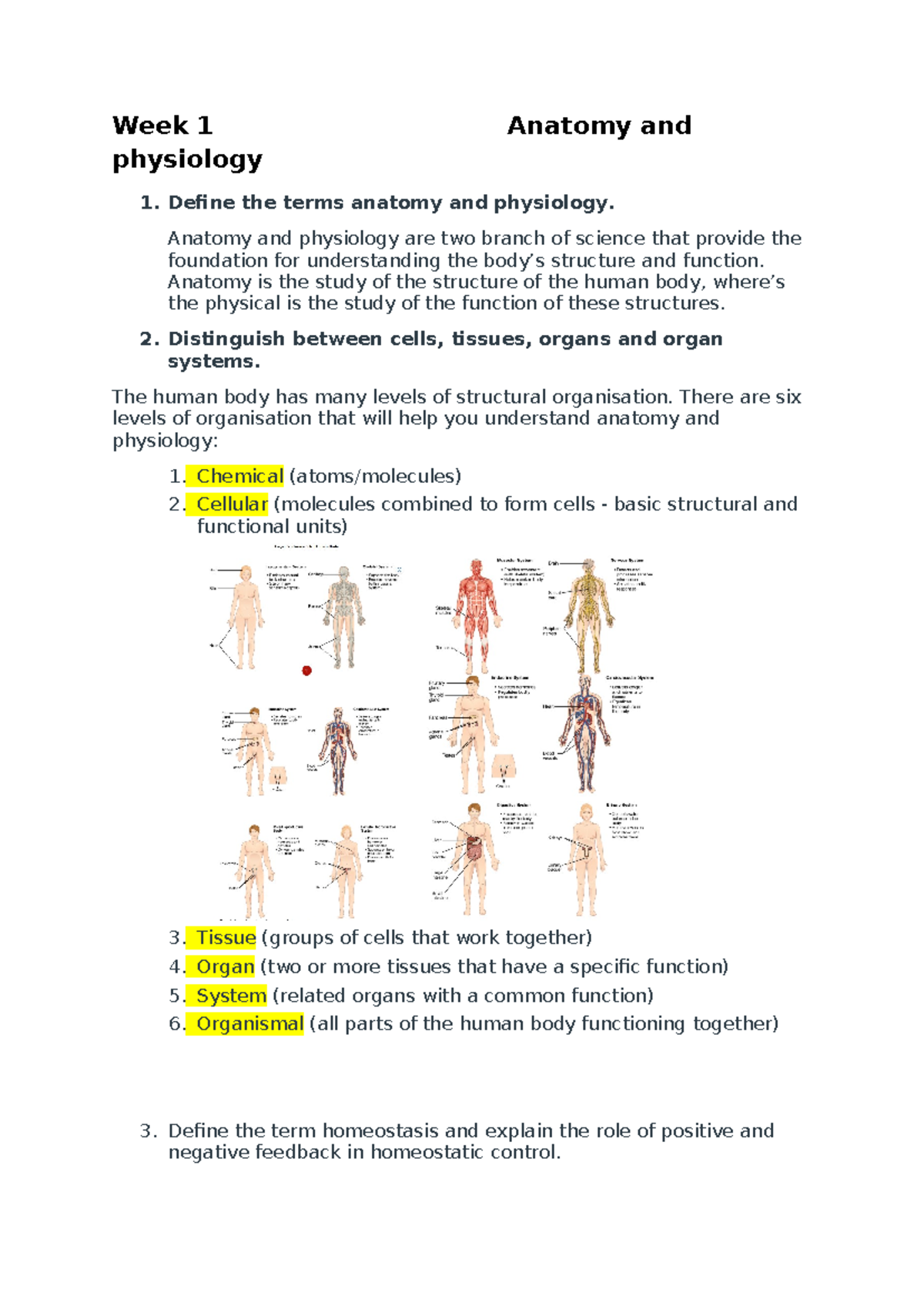 Week 1 Anatomy and physiology - Define the terms anatomy and physiology ...
