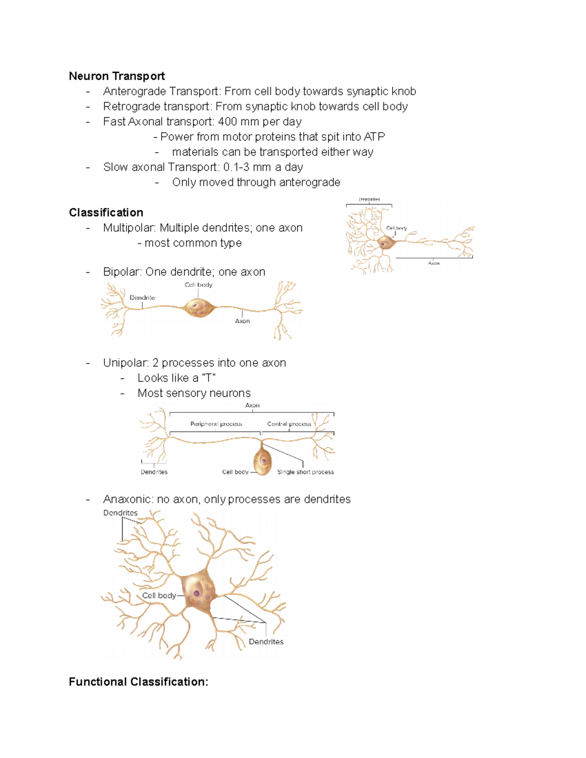 Chaper 12 Nervous Tissue Classification - Deprecated API usage: The SVG ...