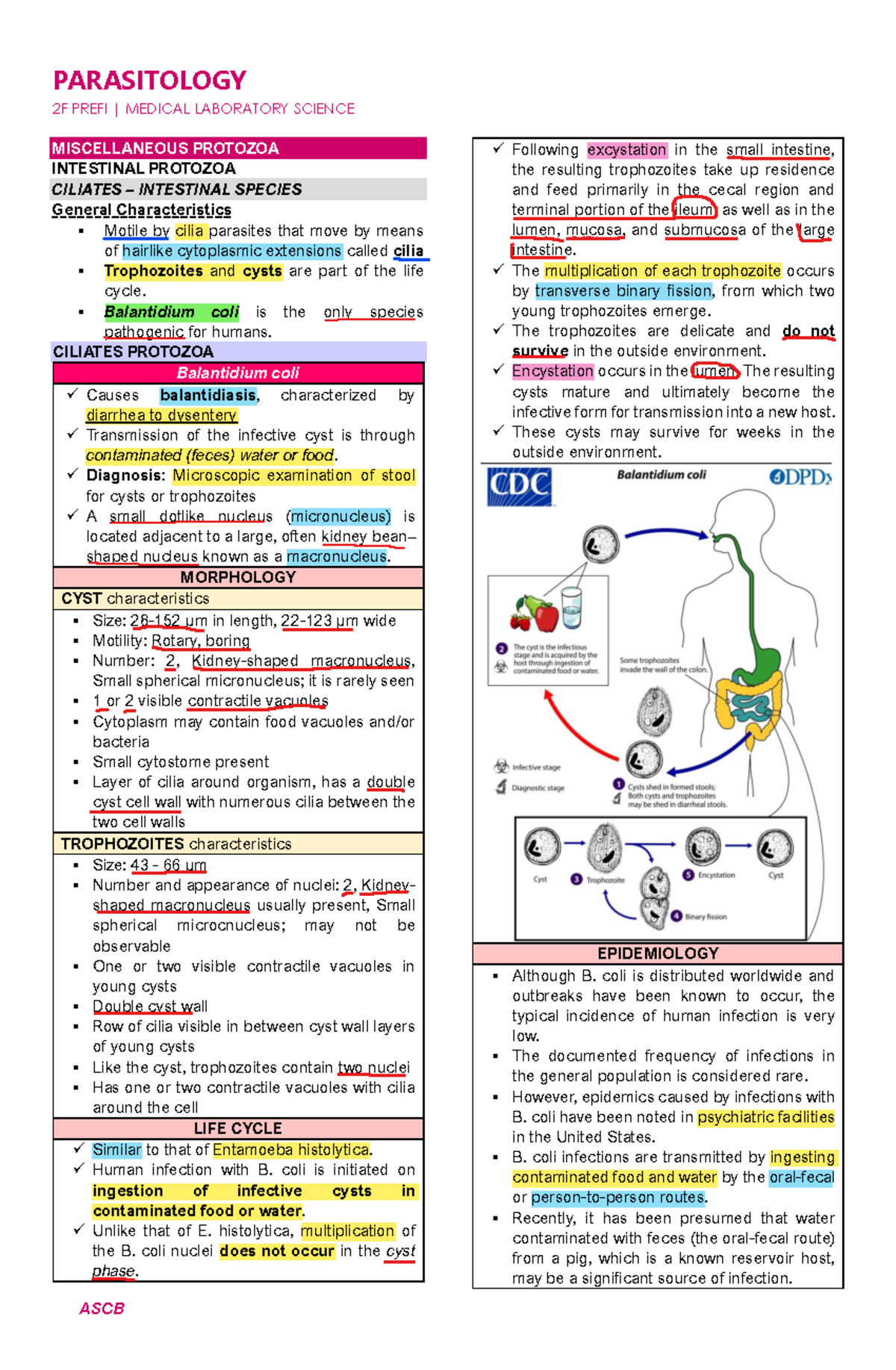 PARA Prefi Trans 1 - 2F PREFI | MEDICAL LABORATORY SCIENCE ...