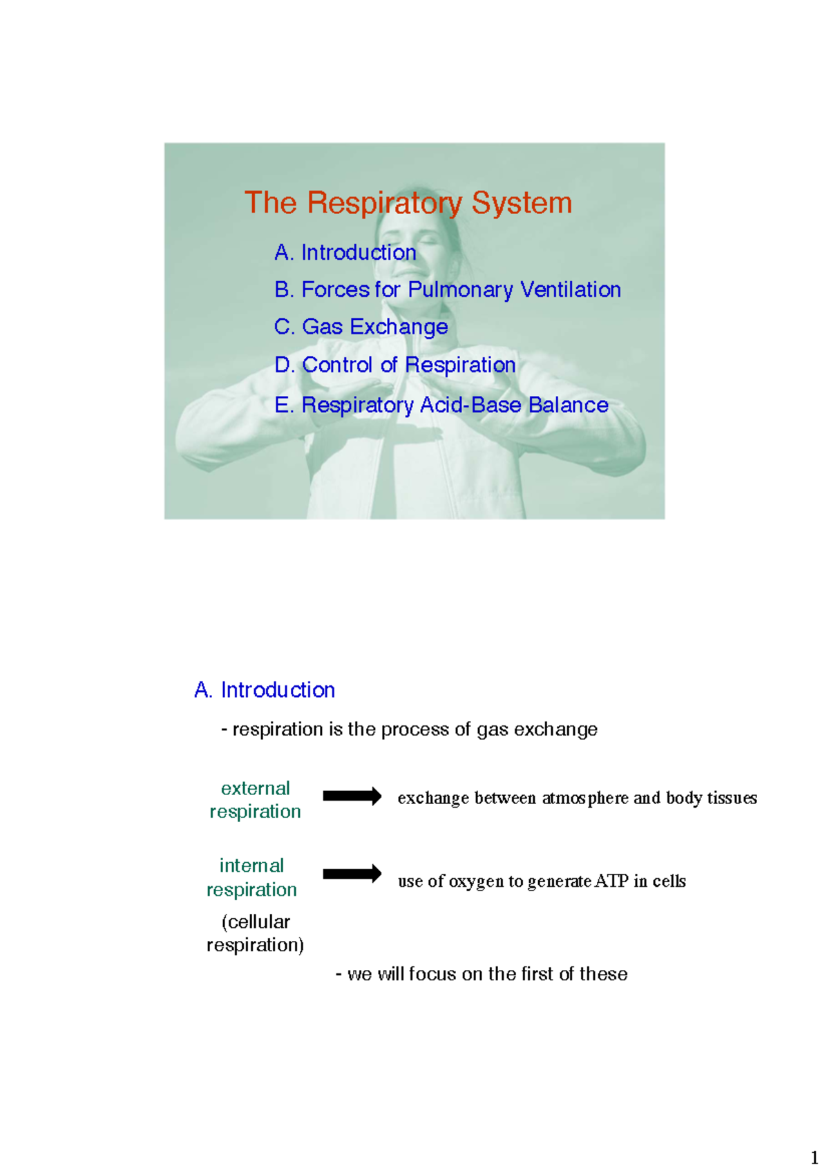 Respiratory System Mod-s2 - The Respiratory System B. Forces For ...