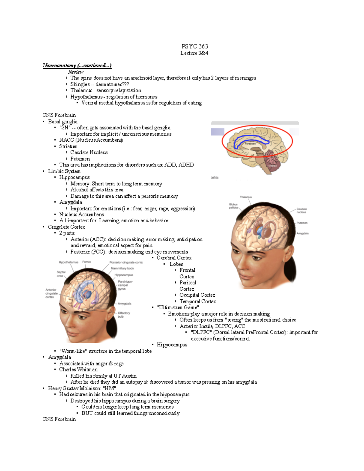 PSYC363 Notes Lectures 3 & 4 - PSYC 363 Lecture 3&4 Neuroanatomy ...