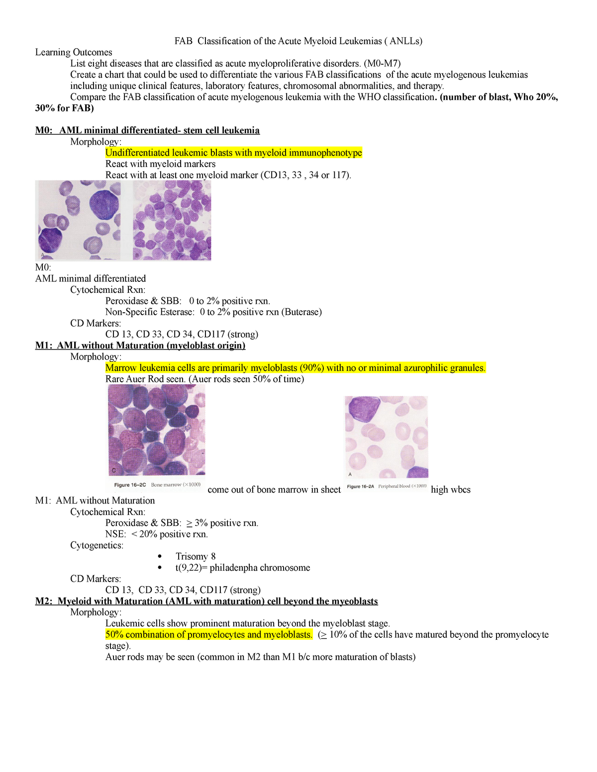 FAB Classification of the Acute Myeloid Leukemias - MEDT ...